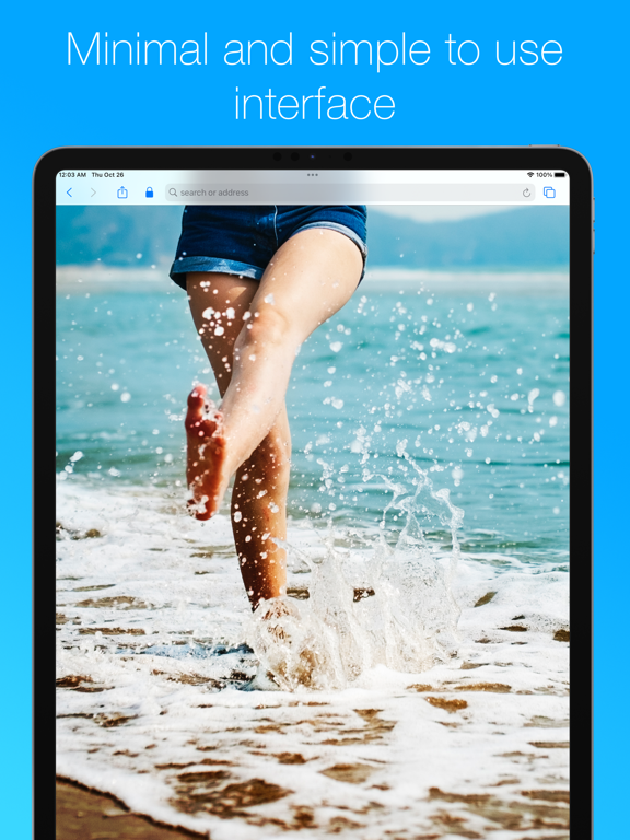 Screenshot #5 pour Secret Browser