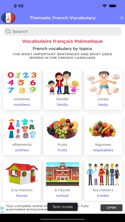 Thematic French Vocabulary