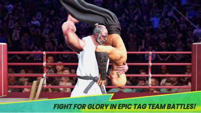 Wrestle Brawl Screenshot