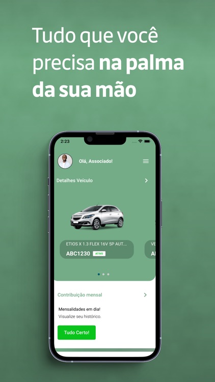 Incluir Brasil Associados