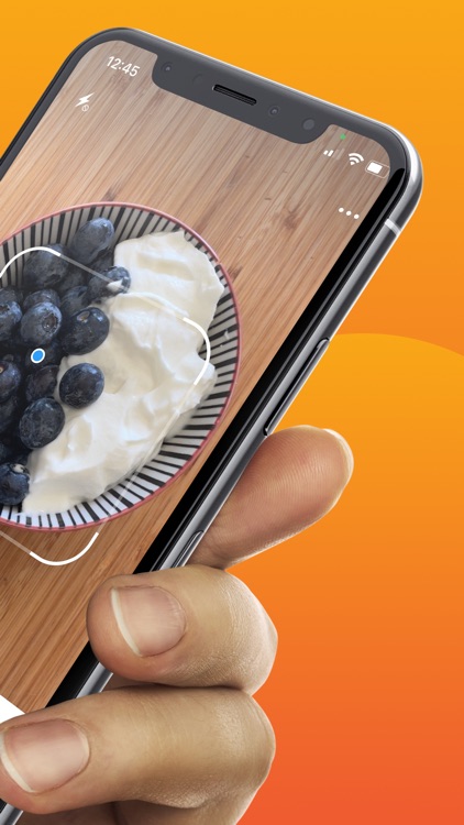 Food Lens AR