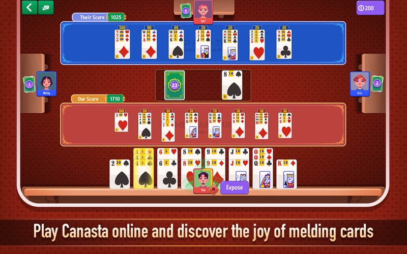 Canasta: Card Game screenshot 2