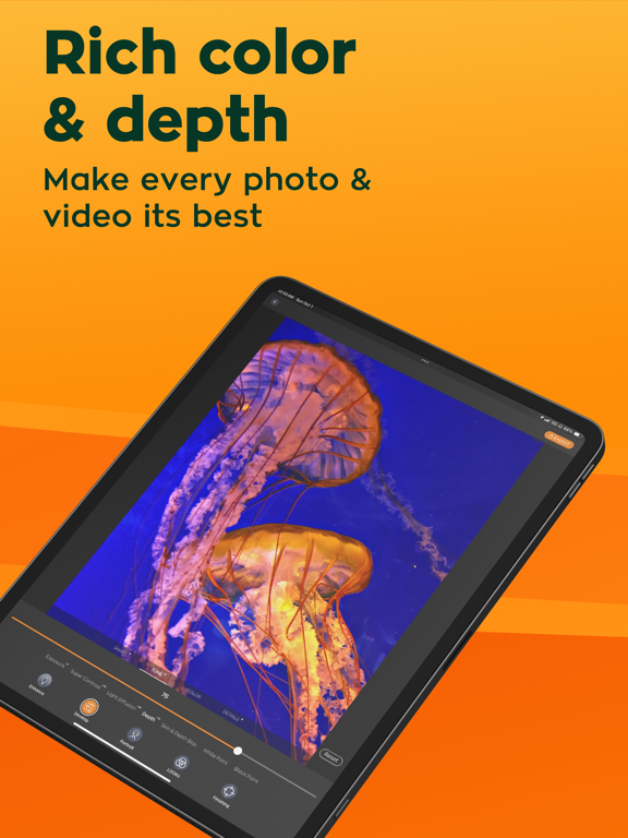 Radiant: AI Photo&Video Editor iPad screenshot 4 - Photo & Video app