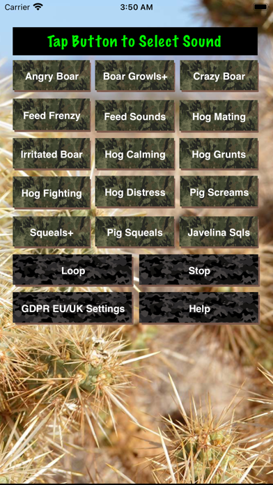 Hog Hunting Calls Screenshot