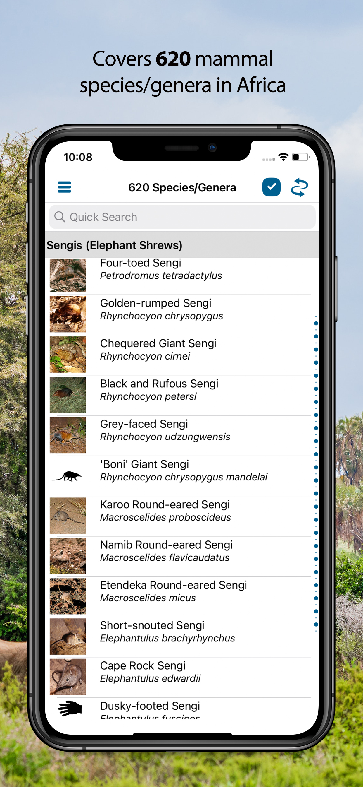 Stuarts’ African Mammals