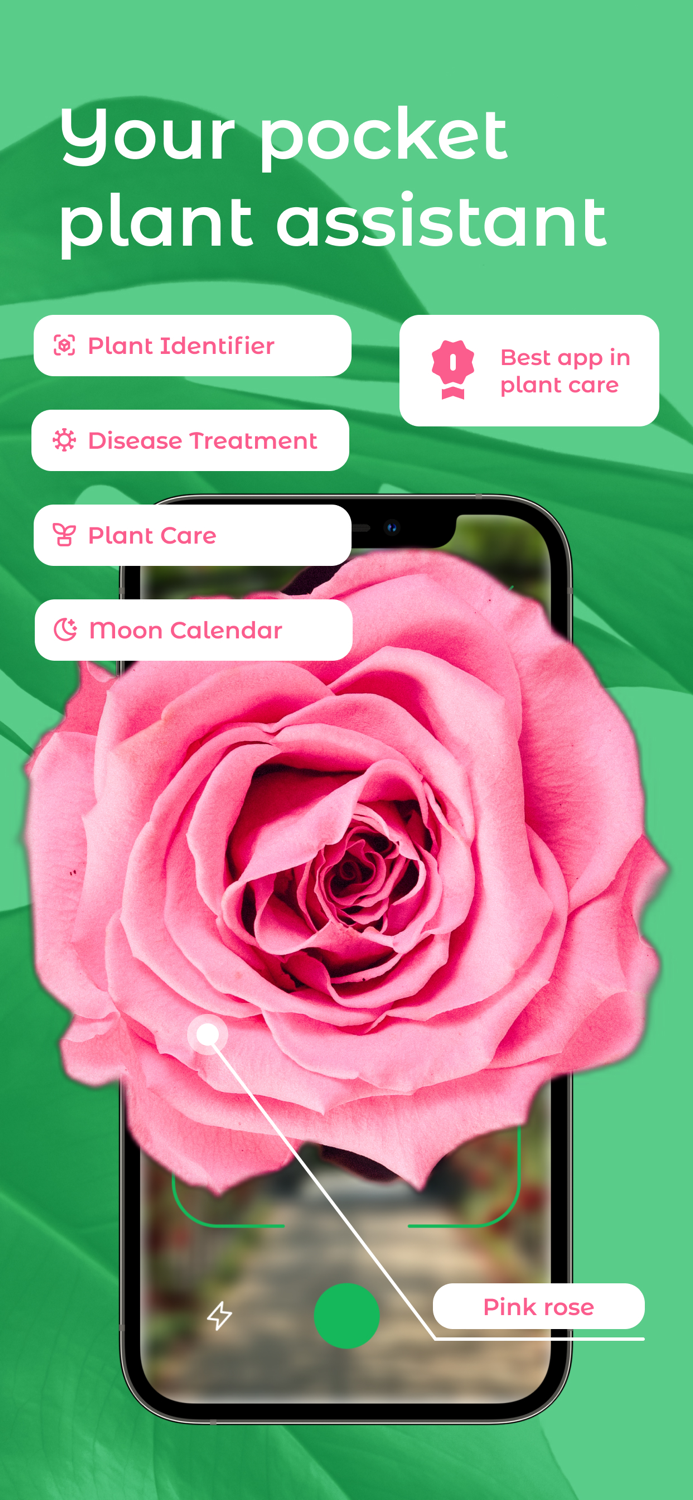 The Plant - Care and Identifier