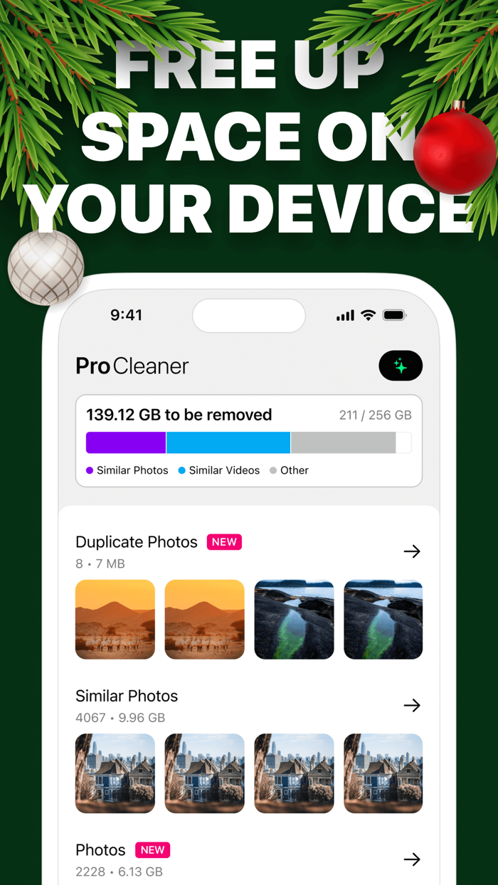 Pro Cleaner Clean Storage