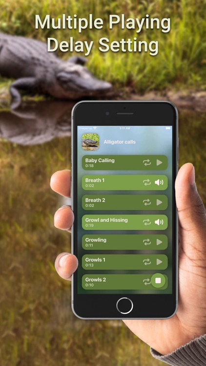 Hunting Calls: Alligator Croc