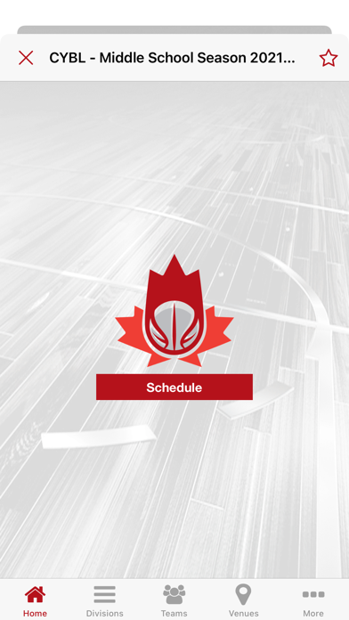 Canadian Youth Basketball Screenshot