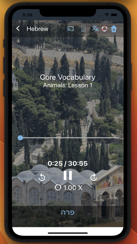 #9. Bluebird: Learn Hebrew (iOS) Podle: Pronunciator LLC