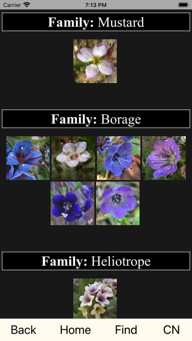 CNM WildFlowers Screenshot