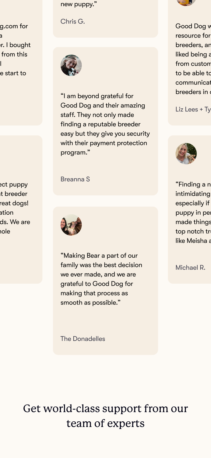 Good Dog Find Your New Puppy