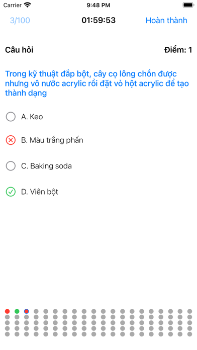 900 Câu Hỏi Lý Thuyết Nails Screenshot