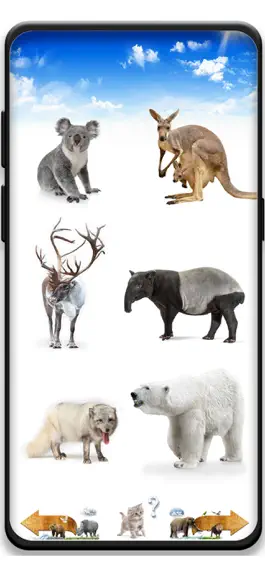 Game screenshot Amazing Animal Sounds apk