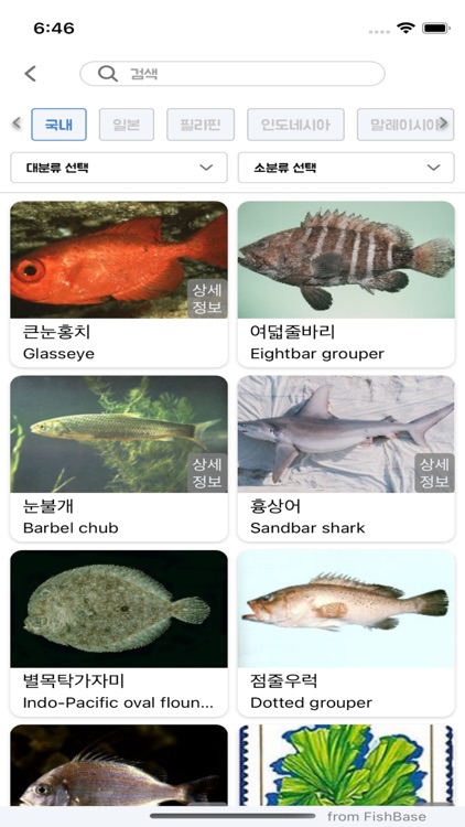 버블디- 다이버 커뮤니티, 로그북, 해양생물도감 screenshot-6