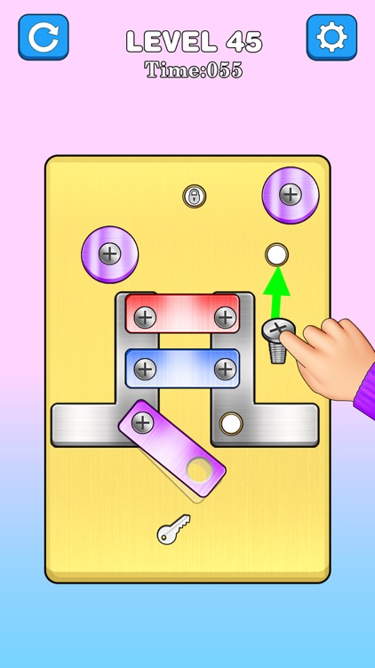 Screw Puzzle Nuts & Bolts Game screenshot-3