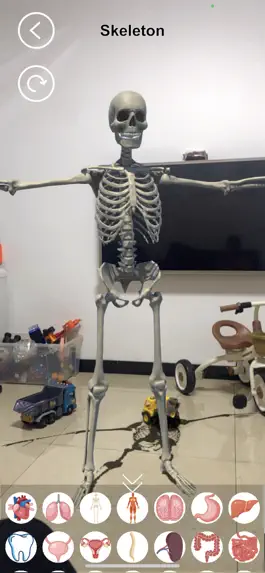 Game screenshot AR Human Organs hack