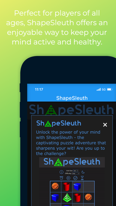 ShapeSleuth Screenshot