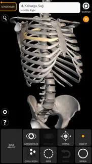 İskelet 3d anatomisi iphone resimleri 2