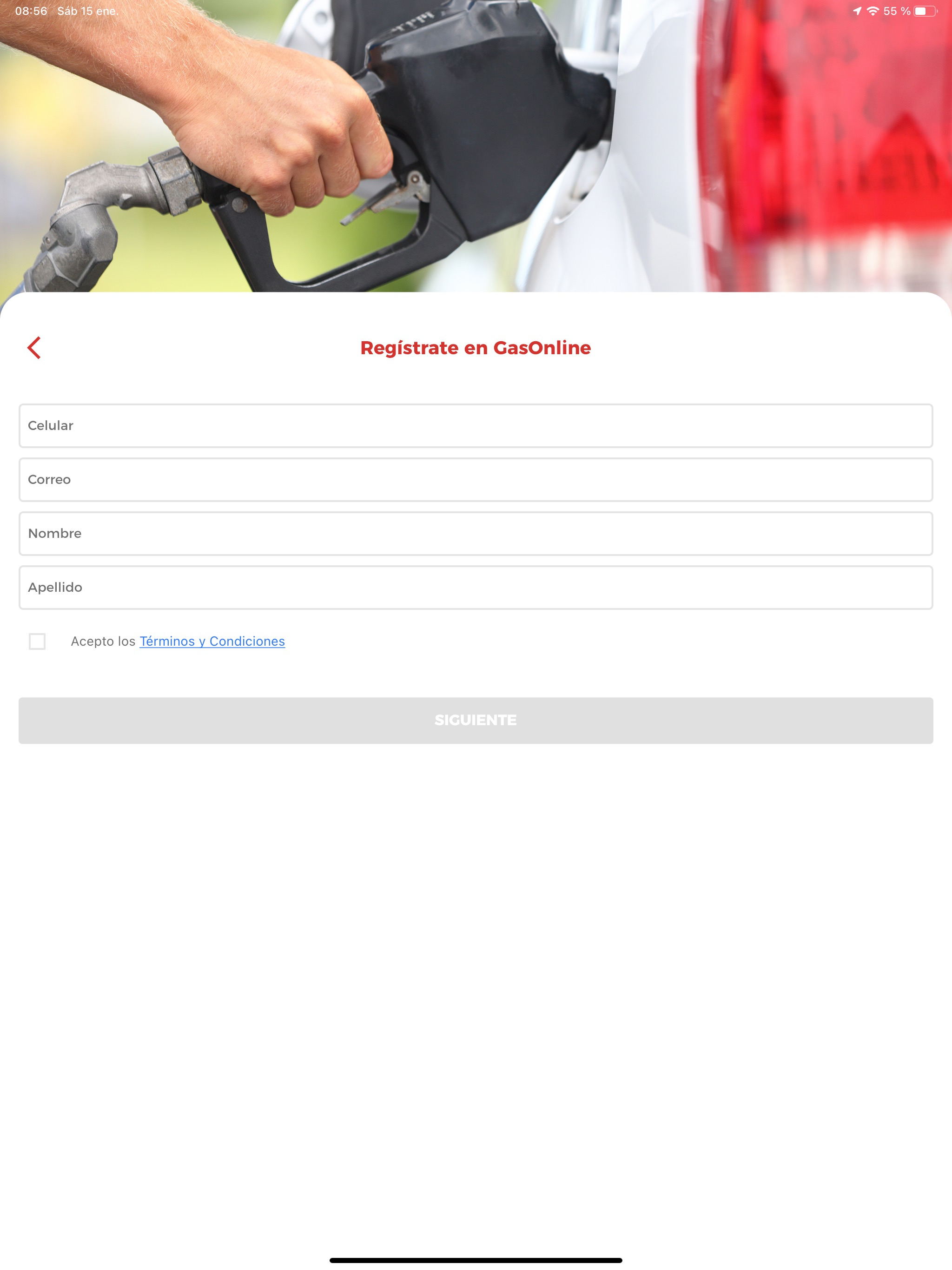 Gasonline screenshot 13