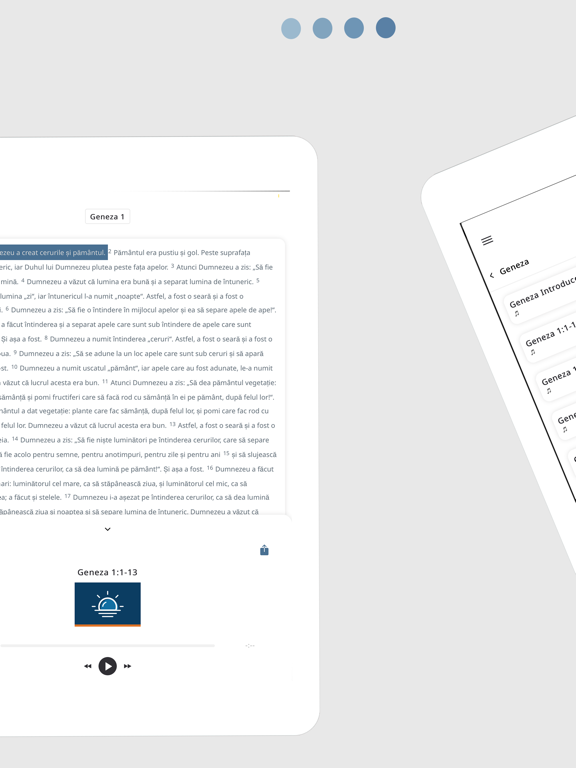 Screenshot #6 pour Biblia romaneasca (Romanian)