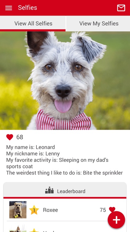 Fairfax Paws Portal screenshot-3