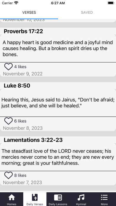 Bible Study Daily Screenshot