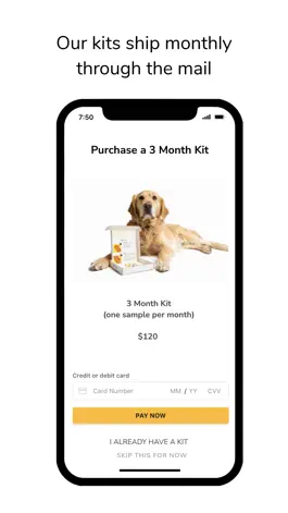 Game screenshot Pet Stress hack