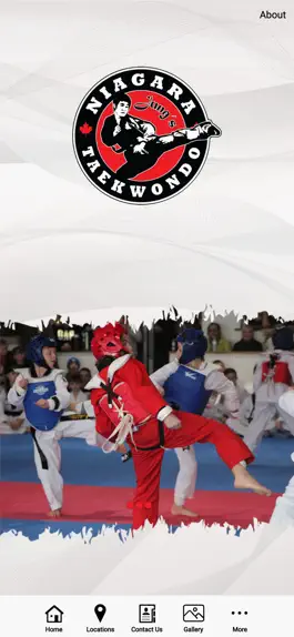 Game screenshot Jungs Niagara Taekwondo mod apk