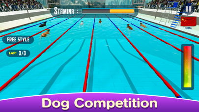 Dog Swimming Raceのおすすめ画像4