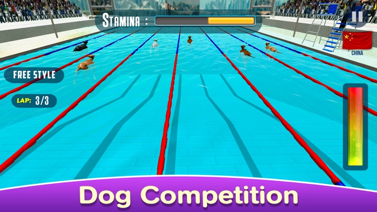 Dog Swimming Race screenshot-3