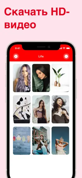 Game screenshot Pinto: скачать видео Pinterest hack