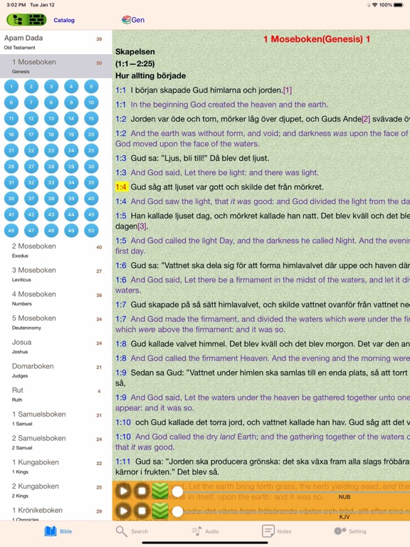 Screenshot #5 pour Swedish Finnish English Bible