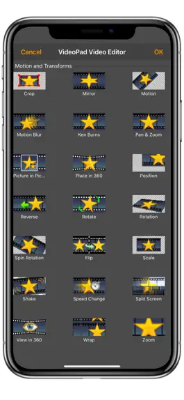 Game screenshot VideoPad Masters apk