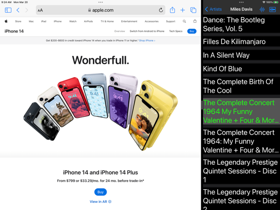 One Big Player iPad screenshot 2 - Music app
