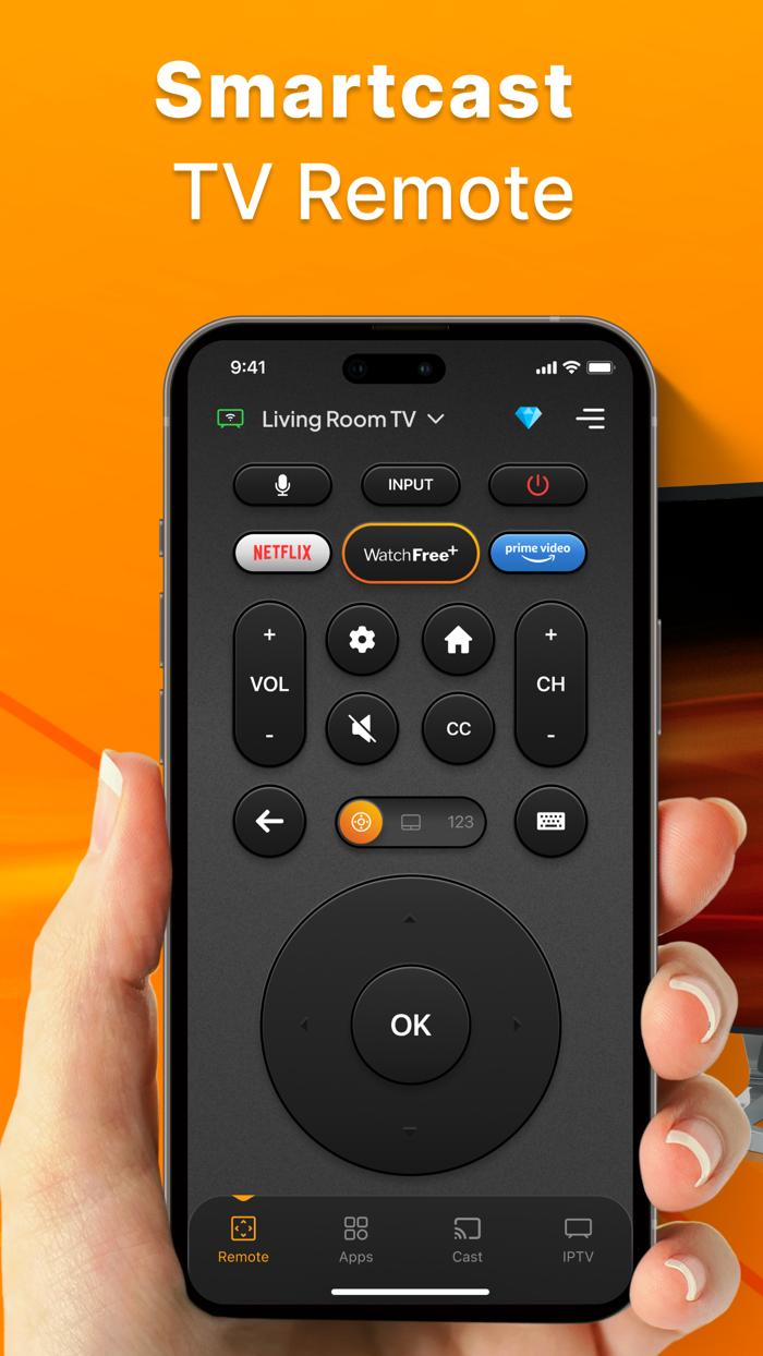 Smartcast TV Remote Control