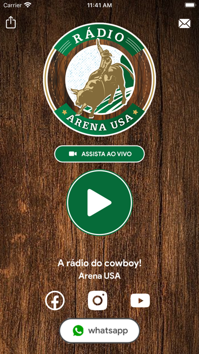 Arena USA Screenshot