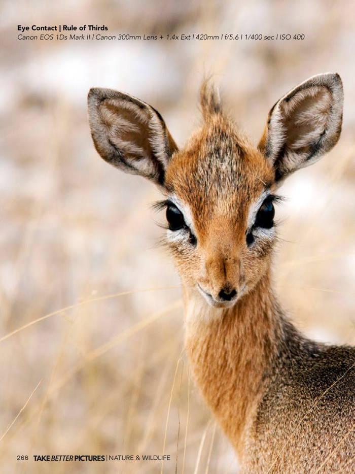 Take Better Pictures