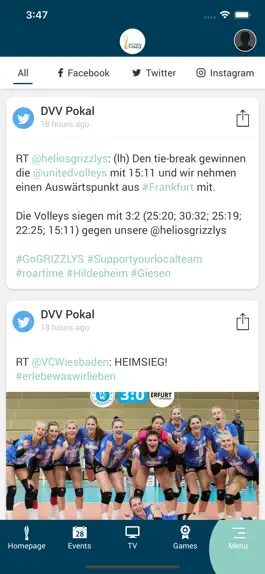 Game screenshot DVV Pokal hack