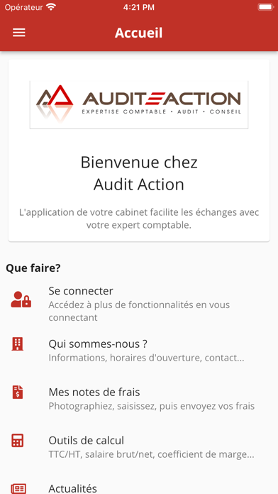 Screenshot #1 pour Audit Action