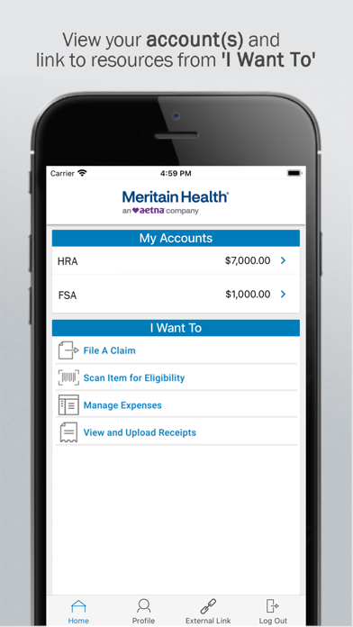 Meritain Health CDHP FSA Screenshot