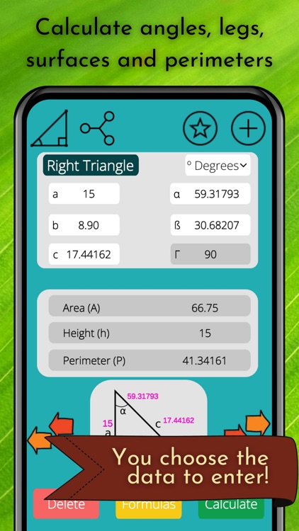 Geometry Calculator Solver