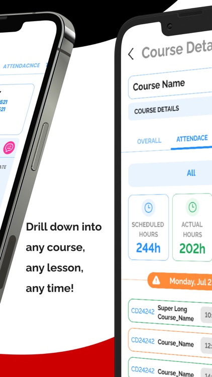 National Aviation Academy