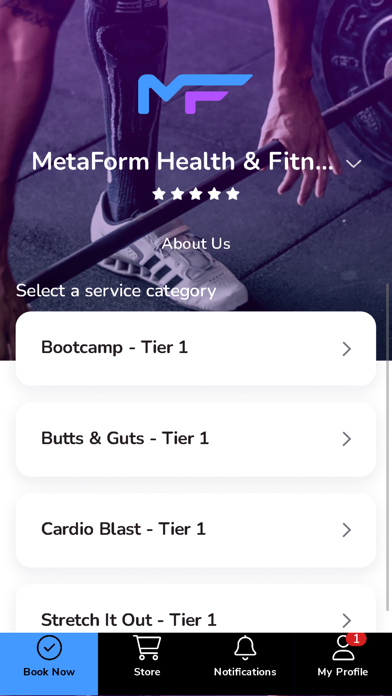 MetaForm Screenshot