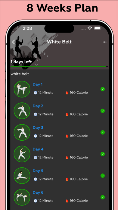 Karate Workout - Master Karate Screenshot