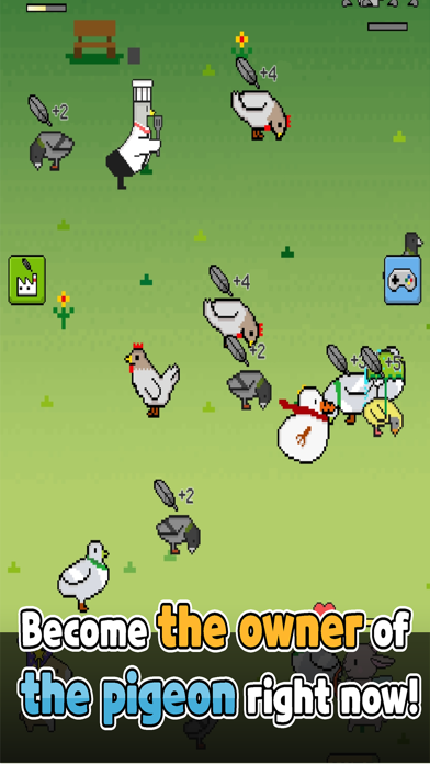 raising pigeons Screenshot