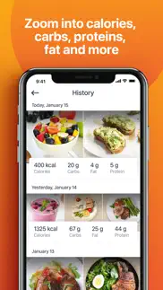 food lens ar problems & solutions and troubleshooting guide - 3