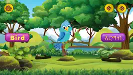 Game screenshot Lijoch - Learn Amharic & More apk