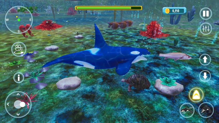 Orca Killer Whale Simulator screenshot-3