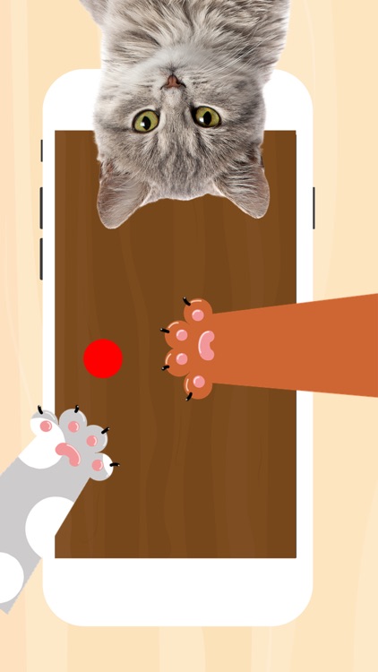 Games for cats : Catching mice